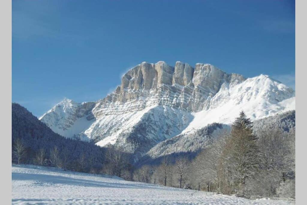 Petit Studio Mansarde 18 M2 Avec Navette Gratuit Aux Pistes De Ski Gresse-en-Vercors Exterior foto